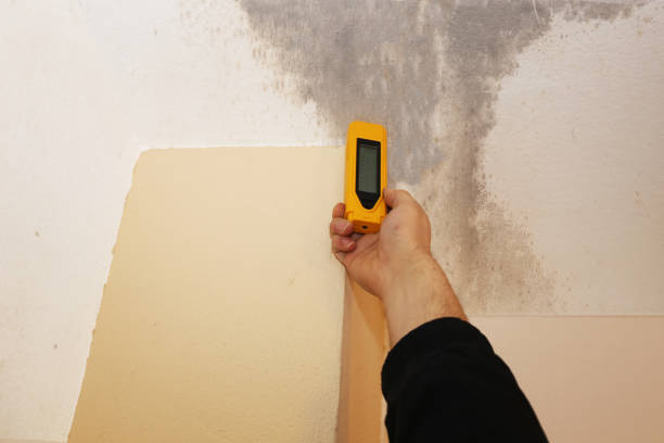 Best Mold Prevention Services  in Lake Lotawana, MO