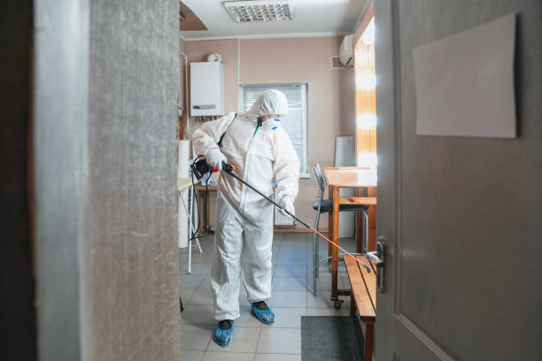 Best Mold Odor Removal Services  in Lake Lotawana, MO