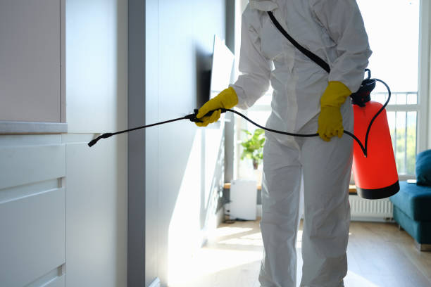 Best Mold Removal for HVAC Installations  in Lake Lotawana, MO