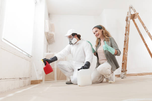 Best Emergency Mold Remediation  in Lake Lotawana, MO
